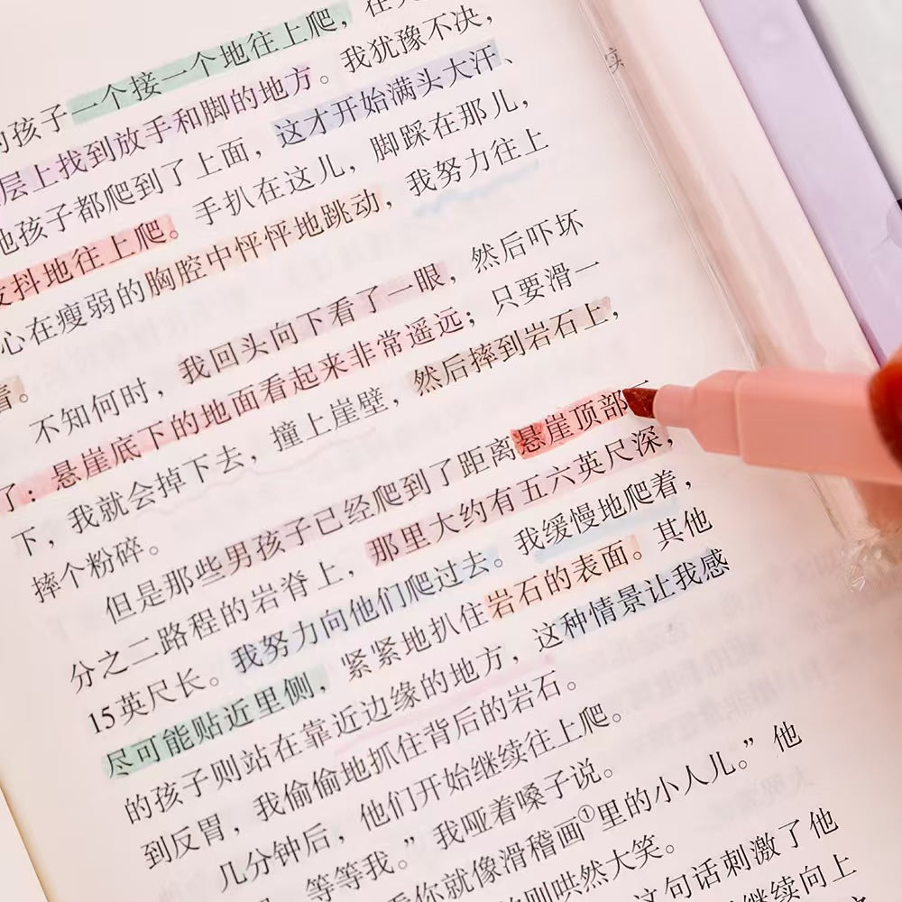 Morandi Color Highlighter Pens for Students